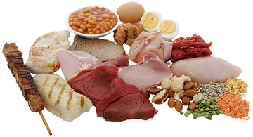 En Çok Protein İçeren Besinler?