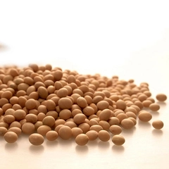 Soya Proteini Kullanımı ve Faydaları Nelerdir?